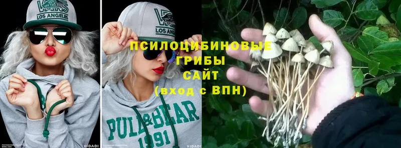 магазин продажи   Киренск  hydra маркетплейс  Галлюциногенные грибы Magic Shrooms 